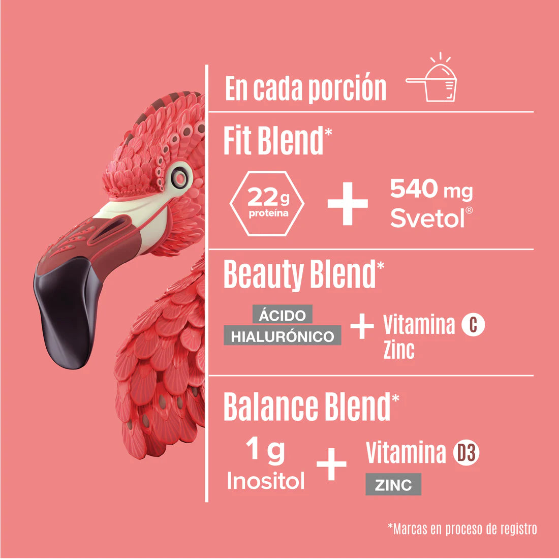 Fitmingo Protein Moka 1.7 kg