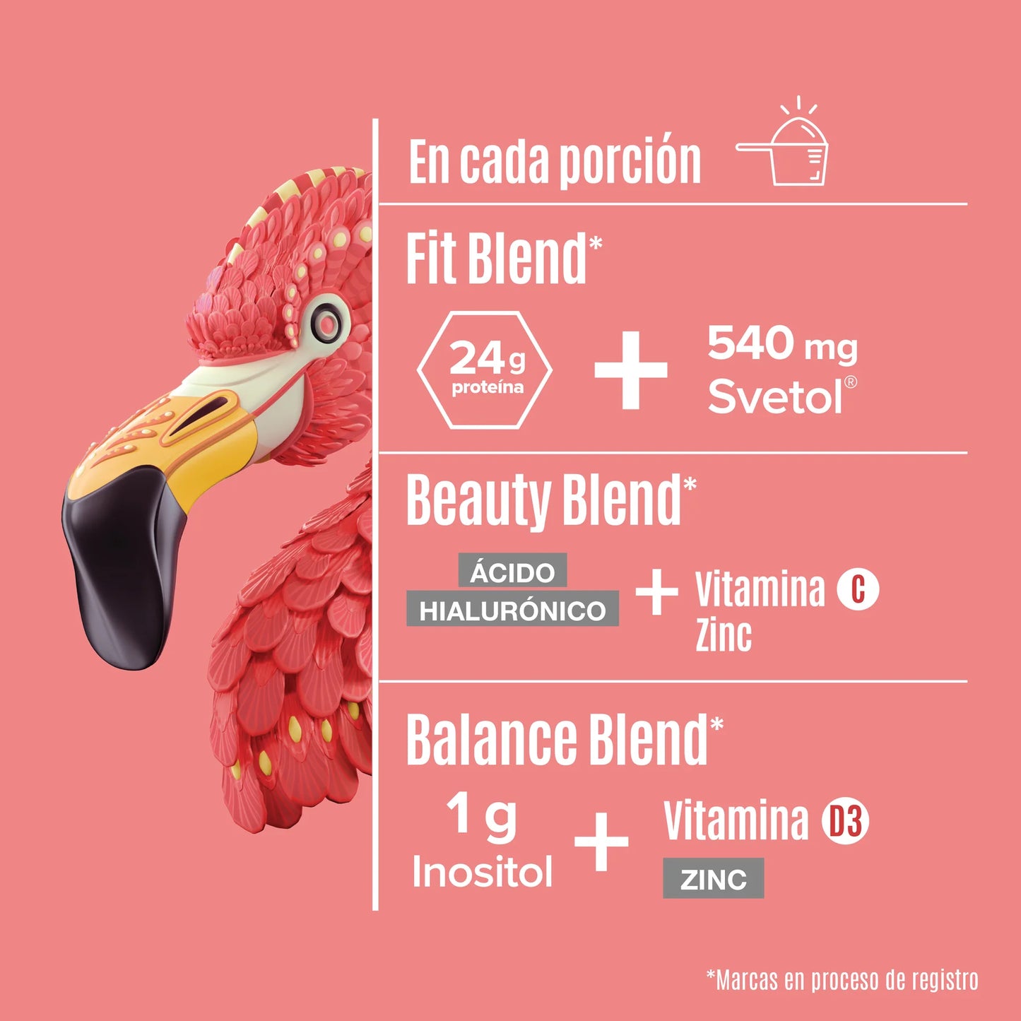 Fitmingo Proteina Vainilla 1.7kg