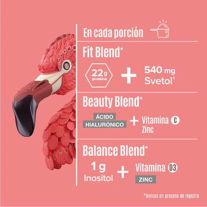 Fitmingo Protein Moka 1.7 kg